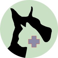 Healing Paws Center logo, Healing Paws Center contact details