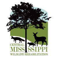 Central Mississippi Wildlife Rehabilitation, Inc. logo, Central Mississippi Wildlife Rehabilitation, Inc. contact details