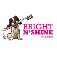 Bright N' Shine Pet Dental logo, Bright N' Shine Pet Dental contact details