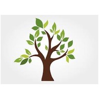 Shade Tree Management logo, Shade Tree Management contact details