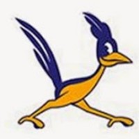 Roadrunner Marketing logo, Roadrunner Marketing contact details