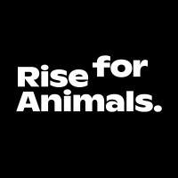 Rise for Animals logo, Rise for Animals contact details