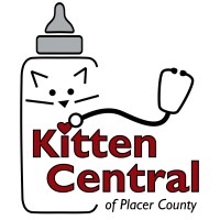 KITTEN CENTRAL OF PLACER COUNTY INCORPORATED logo, KITTEN CENTRAL OF PLACER COUNTY INCORPORATED contact details