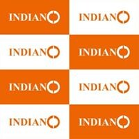 Indiano International Technosoft Pvt. Ltd. logo, Indiano International Technosoft Pvt. Ltd. contact details