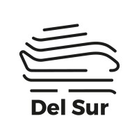 Del Sur Consultores Aeronáuticos logo, Del Sur Consultores Aeronáuticos contact details