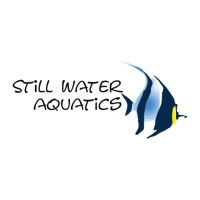 Still Water Aquatics (ADA India) logo, Still Water Aquatics (ADA India) contact details