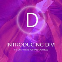 Divi Theme Experts logo, Divi Theme Experts contact details