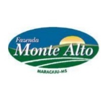 Grupo Monte Alto logo, Grupo Monte Alto contact details