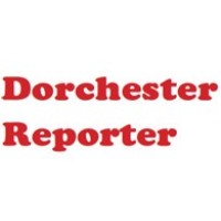 Boston Neighborhood News, Inc. logo, Boston Neighborhood News, Inc. contact details