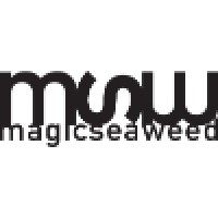 magicseaweed logo, magicseaweed contact details