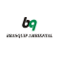 Brasquip Ambiental S/A logo, Brasquip Ambiental S/A contact details