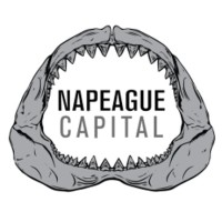 Napeague Capital, LLC logo, Napeague Capital, LLC contact details