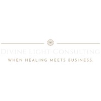 Divine Light Consulting LLC logo, Divine Light Consulting LLC contact details