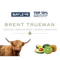 Team Trueman - Bayleys Tauranga logo, Team Trueman - Bayleys Tauranga contact details