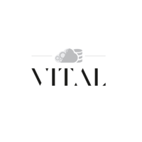 Vital Soluciones logo, Vital Soluciones contact details