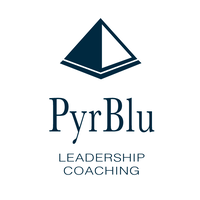 PyrBlu, Inc. logo, PyrBlu, Inc. contact details