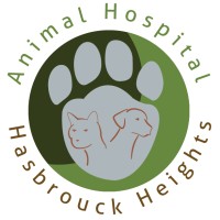 Animal Hospital of Hasbrouck Heights logo, Animal Hospital of Hasbrouck Heights contact details