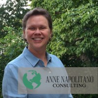 Anne Napolitano Consulting, Inc. logo, Anne Napolitano Consulting, Inc. contact details