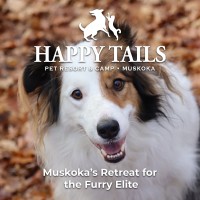 Happy Tails Pet Resort & Camp logo, Happy Tails Pet Resort & Camp contact details