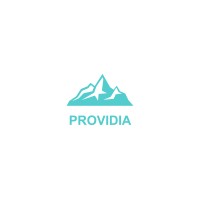 ProvidiaAI logo, ProvidiaAI contact details