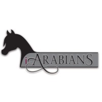 iArabians LLC logo, iArabians LLC contact details