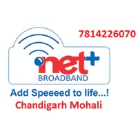 Netplus Broadband Chandigarh logo, Netplus Broadband Chandigarh contact details