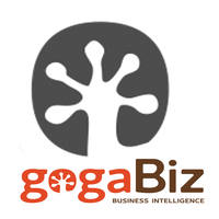 gogaBiz Business Intelligence logo, gogaBiz Business Intelligence contact details