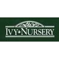 Ivy Nursery Inc logo, Ivy Nursery Inc contact details