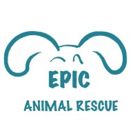 Epic Animal Rescue logo, Epic Animal Rescue contact details