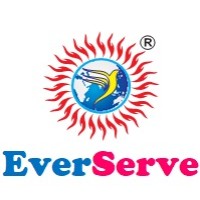 EverServe Consultants Private Limited logo, EverServe Consultants Private Limited contact details