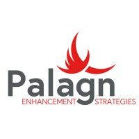 Palagn Enhancement Strategies LLC logo, Palagn Enhancement Strategies LLC contact details