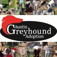 Austin Greyhound Adoption logo, Austin Greyhound Adoption contact details