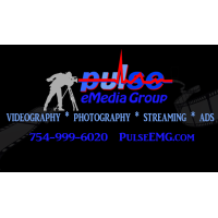 Pulse eMedia Group logo, Pulse eMedia Group contact details