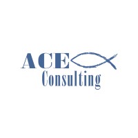 Ace Consulting Company LLC logo, Ace Consulting Company LLC contact details