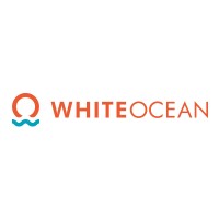 White Ocean Investment Services LLP logo, White Ocean Investment Services LLP contact details