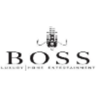 BOSS Luxury Home Entertainment logo, BOSS Luxury Home Entertainment contact details