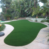 Paradise Turf logo, Paradise Turf contact details