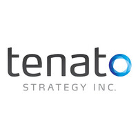 Tenato Strategy Inc. logo, Tenato Strategy Inc. contact details