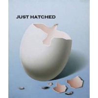 Just Hatched Pty Ltd logo, Just Hatched Pty Ltd contact details