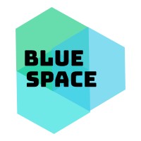 Bluespace Infotech logo, Bluespace Infotech contact details