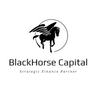 BlackHorse Capital logo, BlackHorse Capital contact details