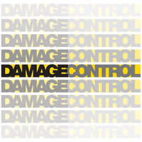 DamageControl Consultancy Pvt Ltd logo, DamageControl Consultancy Pvt Ltd contact details