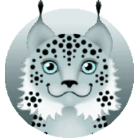 Lynx Web Sites logo, Lynx Web Sites contact details