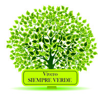 Vivero Siempre Verde logo, Vivero Siempre Verde contact details