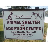 Clay County Animal Shelter - Henrietta, TX logo, Clay County Animal Shelter - Henrietta, TX contact details