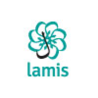 Lamis Creative Consulting logo, Lamis Creative Consulting contact details