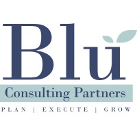 Blu Consulting Partners logo, Blu Consulting Partners contact details