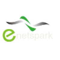 Enetspark Infotech Private Limted logo, Enetspark Infotech Private Limted contact details