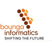 BOUNGA INFORMATICS PTE. LTD. logo, BOUNGA INFORMATICS PTE. LTD. contact details