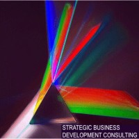 Strategic Business Development Consulting logo, Strategic Business Development Consulting contact details